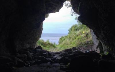 How Did Two Wolves End Up on This Remote Island Thousands of Years Ago? Researchers Think Humans Brought Them There, Then Cared for Them