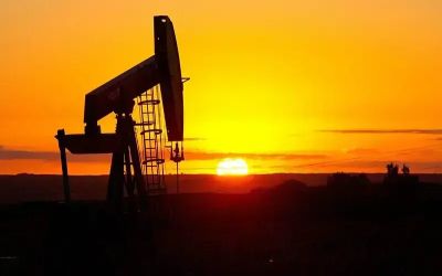 Oil industry prompts government to discourage hoarding as petrol stocks decline to 14-day cover