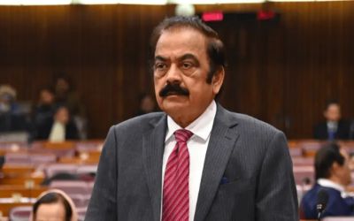 Sanaullah says JUI-F chief's remarks against martyrs were 'inappropriate', but unintended