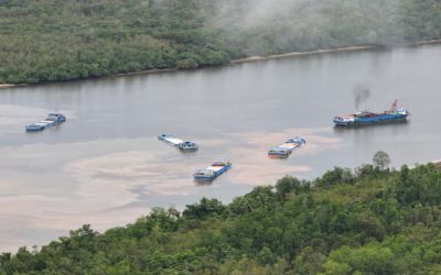 Activists allege Cambodia has resumed sea sand exports to Singapore