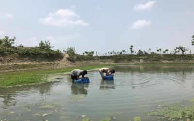 How saline drinking water raises preeclampsia risks in coastal Bangladesh (commentary)