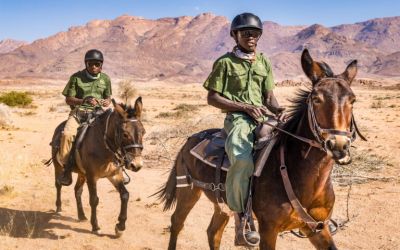 It’s time we recognize the roles of rangers — and prioritize their safety (commentary)