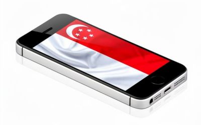 Safeguarding Children Online: Beyond Singapore’s Social Media Ban Debate