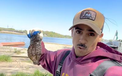 Chesapeake Bay conservation bolstered by the power of business & viral videos