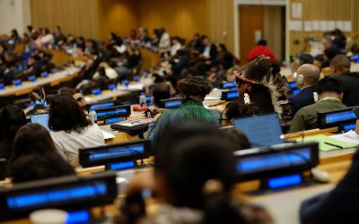 AI is a double-edged sword for Indigenous land protection, UN experts warn