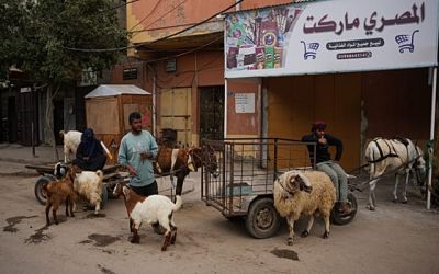 Gaza’s displaced brace for a bleak Eid al‑Adha amid war and soaring prices
