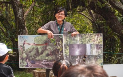 Building bridges for human-wildlife coexistence: Interview with Yap Jo Leen