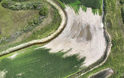 Risk of saltwater intrusion into coastal groundwater spans the globe: Study