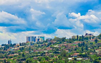 As African cities heat up, a new book argues trees are part of the solution