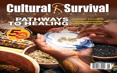 Social Workers’ Roles in Ensuring Indigenous Peoples’ Health