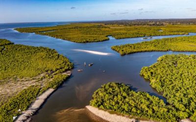 Africa’s community-led marine organizations on which 30×30 depends